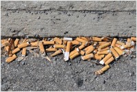 Typical cigarette but litter in the gutter Typical cigarette but litter in the gutter