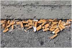 Typical cigarette but litter in the gutter Typical cigarette but litter in the gutter