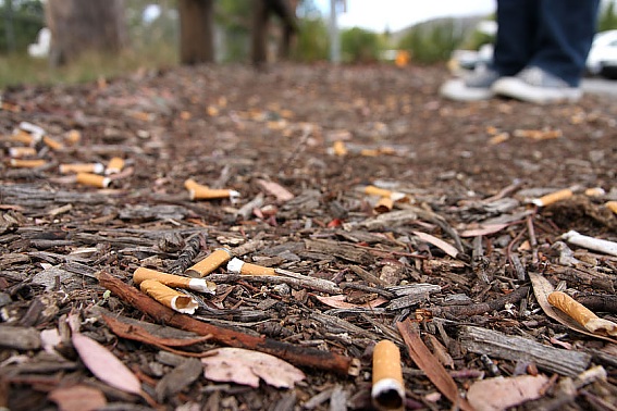 Smokers are going to smoke with or without a Personal Ashtray.  We think it's better 'with!'