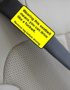 Seatbelts encourage dangerous driving..
(..ok, we're kidding about the tag, but you get the point!)