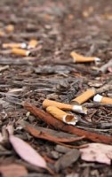 Ignoring your smokers Cigarette Butt Litter is like telling the planet to get stuffed Ignoring your smokers Cigarette Butt Litter is like telling the planet to get stuffed