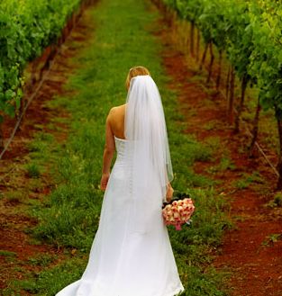 The only kind of butt you'll see at Witchmount Estate Winery & Function Centre