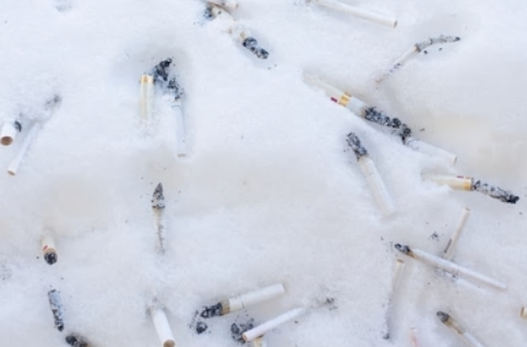 What you won't be seeing at Whistler Blackcomb Resort